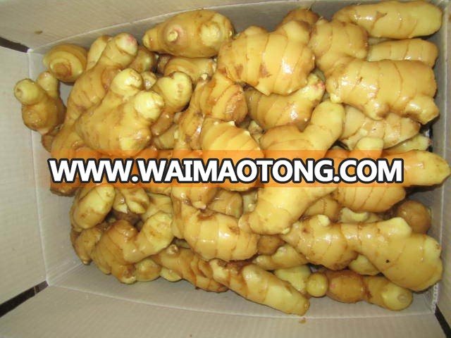 high quality fresh ginger