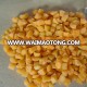 frozen fruits IQF diced apricot