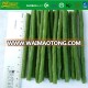Frozen IQF Cut Asparagus Beans