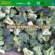 Grade A IQF Frozen Broccoli Florets 40-60 mm