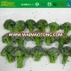 Grade A IQF Frozen Organic Broccoli  30-50 mm