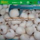Frozen  IQF Litchi Fruits