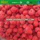 Grade A Frozen  IQF  Raspberries Low Price