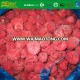Grade A Frozen Fruits IQF Whole Raspberries