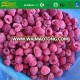 Grade A Frozen  IQF Fresh Raspberries Crumble
