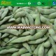 Frozen Vegetables IQF Organic soybeans In Pods edamame Beans