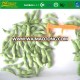 Frozen soybeans In Pods IQF edamame Beans