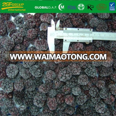 Grade A Frozen  IQF Organic Blackberries