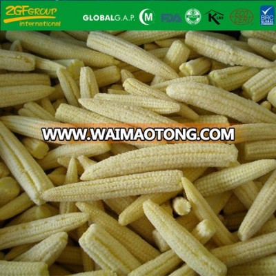 New Crop Frozen IQF Whole Baby Corn