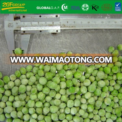 Frozen Vegetables IQF Fresh Green Pea