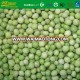 IQF Green Pea