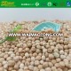 Dried Products Kabuli Chickpeas 6-10mm