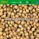 Dried Products Kabuli Chickpeas