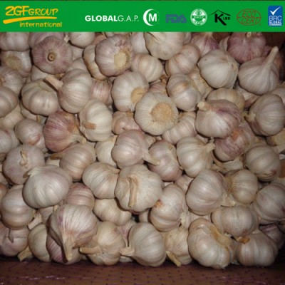 2017 new crop fresh nomal  white garlic size 5.0 cm