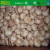 2017 new crop fresh nomal  white garlic size 5.0 cm
