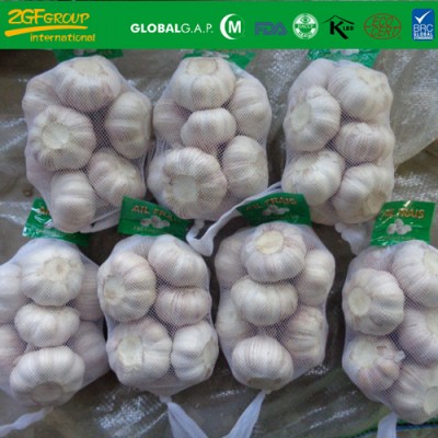 fresh  white garlic size 6.0 cm