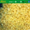 A Grade Frozen IQF Diced Mango 10*10mm