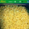 A Grade Frozen IQF Diced Mango 15*15mm