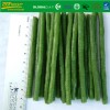 Frozen Vegatables IQF Cut Asparagus Beans
