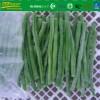 Frozen IQF Cut Asparagus Beans