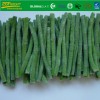Grade A Frozen IQF Cut Asparagus Beans