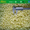 Frozen IQF Diced Apple Size 15*15 mm