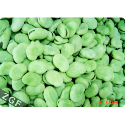 Frozen Broad Beans