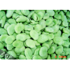 Frozen Broad Beans