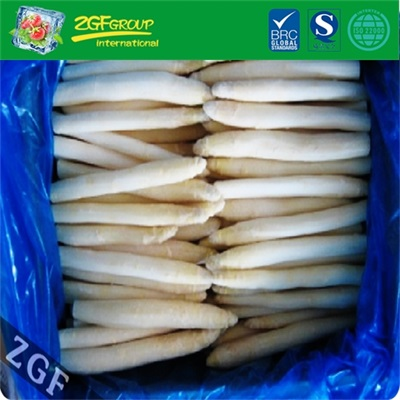 Frozen White Asparagus Spear